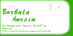 borbala amrein business card